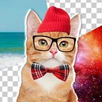 Cat Photo Editor! icon