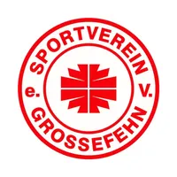 SV Grossefehn icon