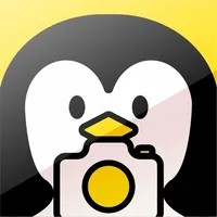 펭귄 카메라 (Penguin Camera) icon