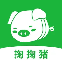 掬掬猪手艺人 icon