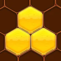 Honeycomb Hexa Block Puzzle icon