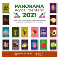 Panorama Agroalimentario 2021 icon