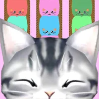 Cats are liquid sort puzzle icon