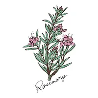 豊中市のお家サロン RoseMary icon