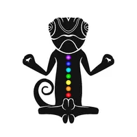 Lizard Yoga icon