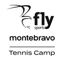 Fly Tennis icon