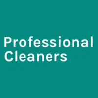 Professional Cleaners icon