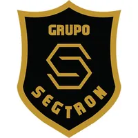 Grupo Segtron icon