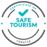 Safe Tourism icon