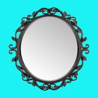 Mirror: Make-up, Shaving icon