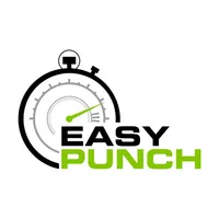 EasyPunch Auto icon