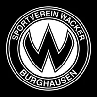 SVW icon