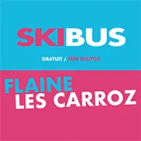 Skibus icon