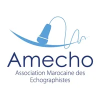 Amecho icon