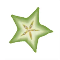 StarFruit icon