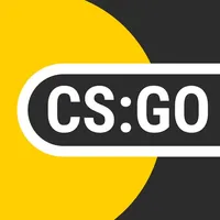 CS:GO Statistic icon