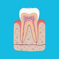 Dental Assistant Quizzes icon