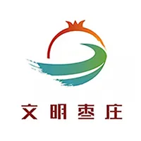 枣庄文明实践 icon