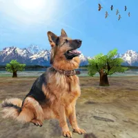 Shepherd Dog:Wild Animal Game icon