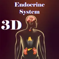 Endocrine System icon