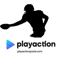 PlayAction Pools icon