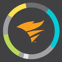 SolarWinds Customer Success icon