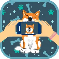 Hey Buddy! Pet Picture Taker icon