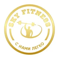 Skyfitness Odintsovo icon