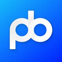 Paybek icon