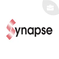 Synapse Distribution icon