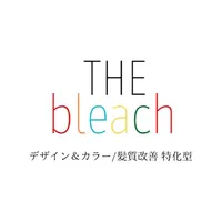 THE bleach icon