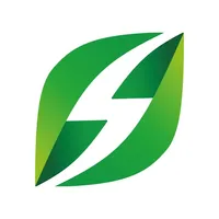 Green Flash Charge icon