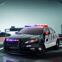 Police Car Driving Sim 2022 icon