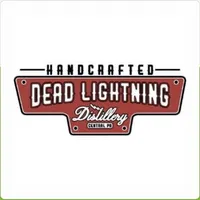 Dead Lightning icon