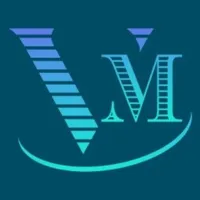 V and M Tax Services Inc icon