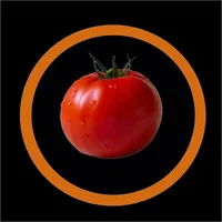 PomTracker - Pomodoro Timer icon