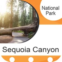Sequoia Canyon National Park icon