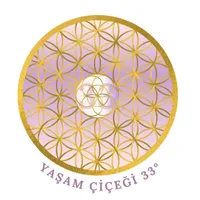 Yaşam Çiçeği 33 icon