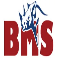 BMS Safe icon