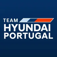 Team Hyundai icon