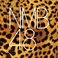 NMB48 Digital Gallery icon