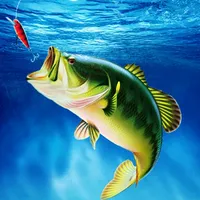 Hook Hunter: Fishing Games 3D icon