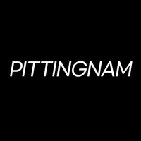 pitingnam icon