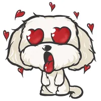 Cutest Maltese Puppy Sticker icon