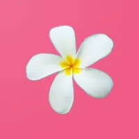 hello! Fiji Dating icon