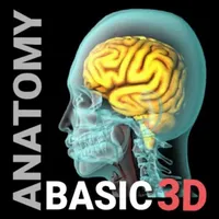 3D Human Anatomy Basic icon