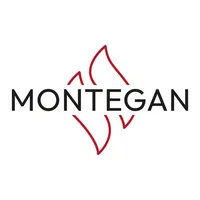 Montegan Connector icon