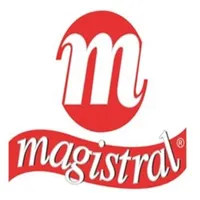 Magistral icon