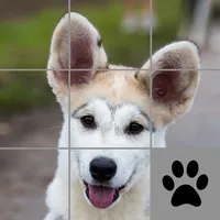 Slider Dog icon