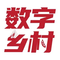 数字乡镇 icon